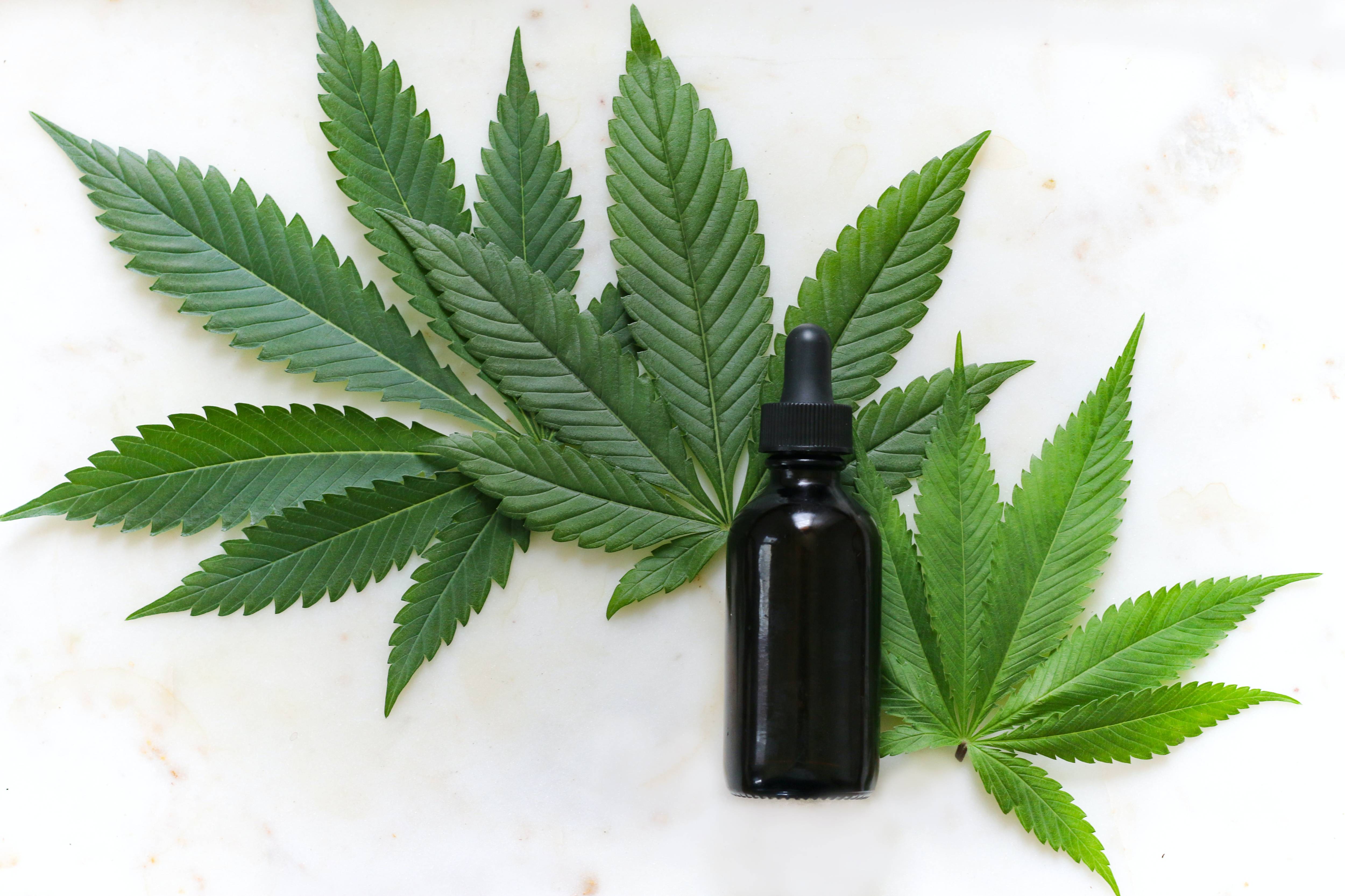 Is CBD a Drug? Understanding the Differences Between CBD and THC